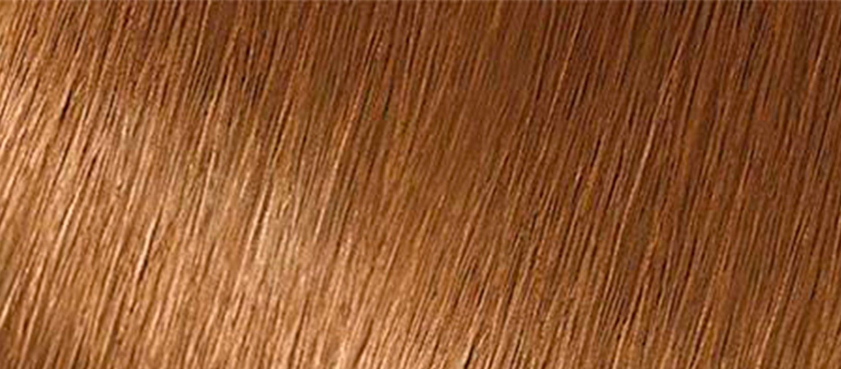 Golden Brown Blonde Hair Color | GARNIER
